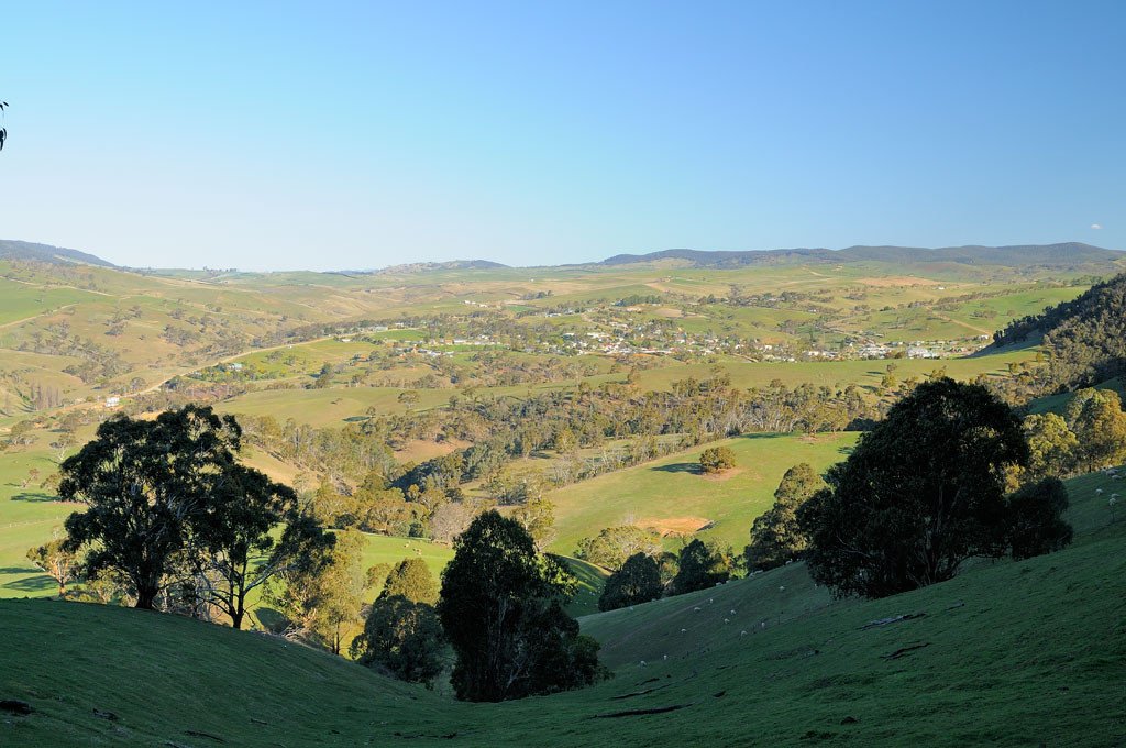 omeo-views.jpg